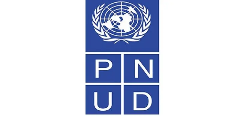  Appel à candidatures du PNUD (17 février 2026)