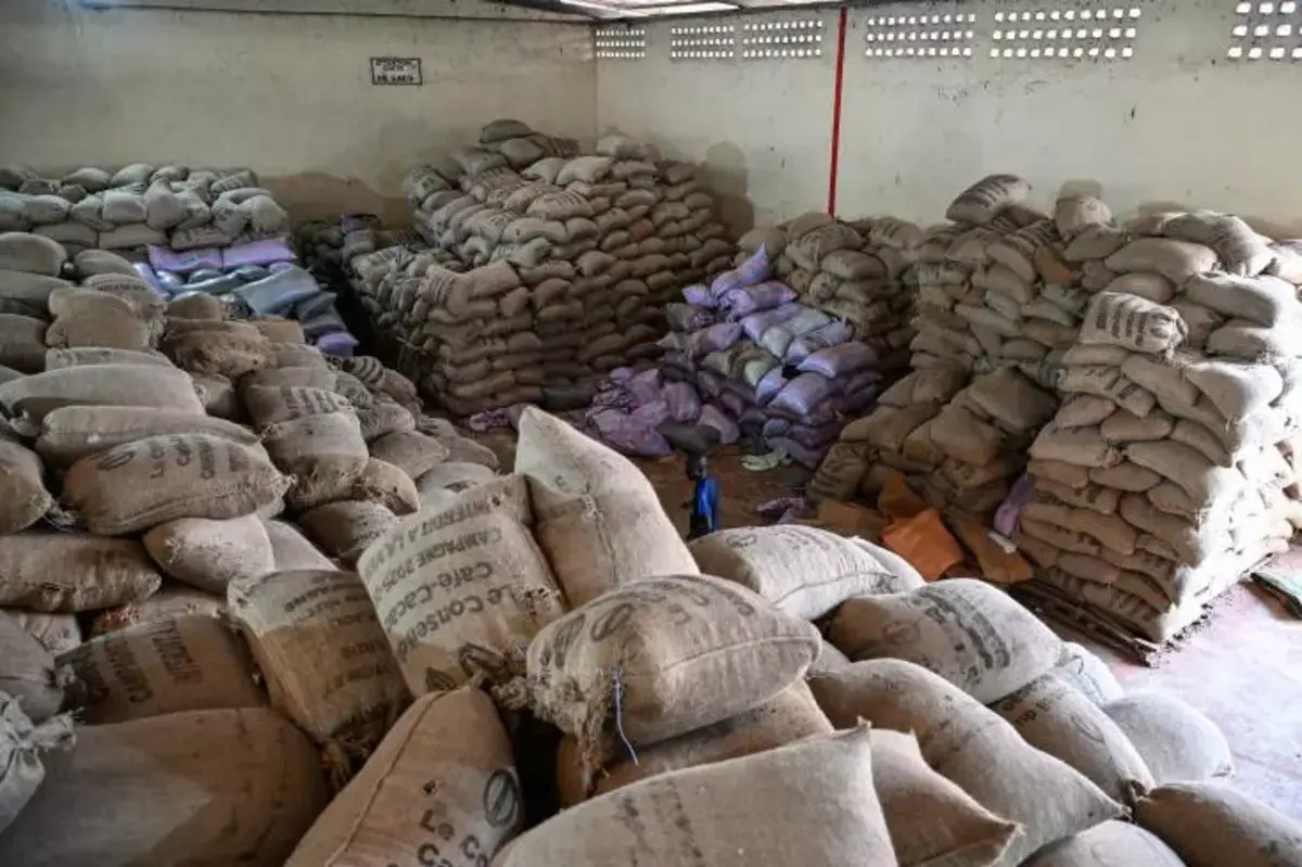 Côte d'Ivoire : deux syndicalistes du secteur cacao poursuivis pour "diffamation"
