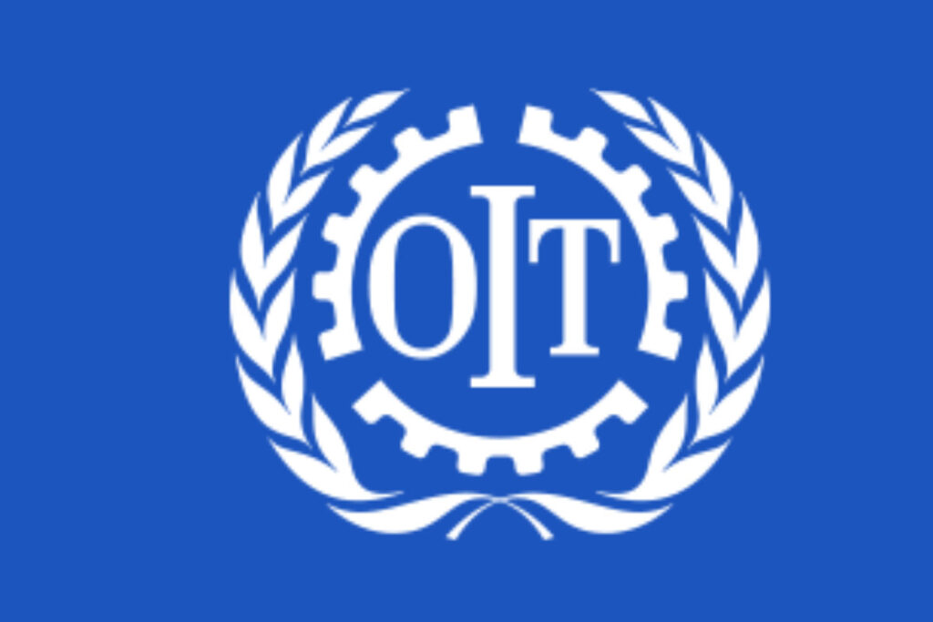 L'Organisation Internationale du Travail (OIT) recrute un Consultant (16 février 2026)