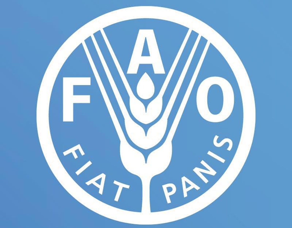 NOUVEL AVIS DE RECRUTEMENT A LA FAO (27 février 2026)
