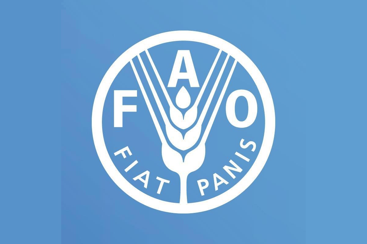 Nouveau poste à pourvoir à la FAO (12 février 2026)