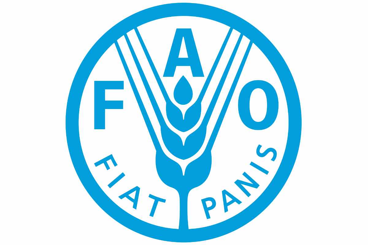 Nouvelle offre ouverte par le FAO (8 février 2026)