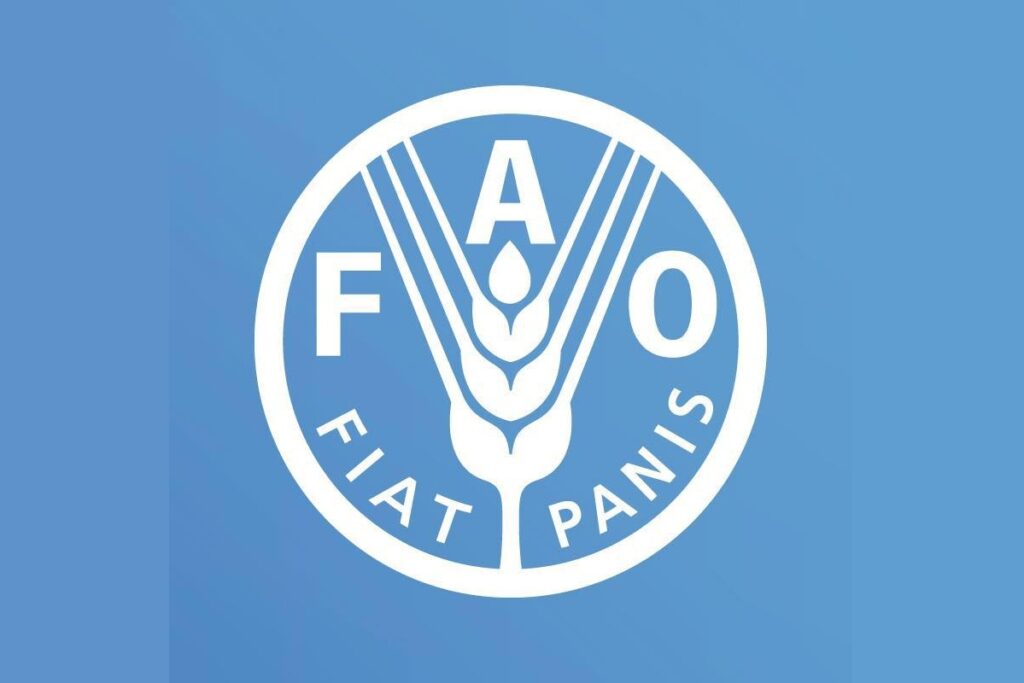 POSTE A POURVOIR A LA FAO (04 février 2026)