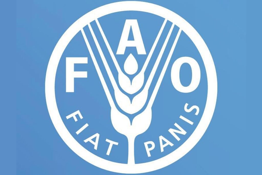 POSTULEZ POUR CES NOUVEAUX POSTES A LA FAO ( 25 février 2026)