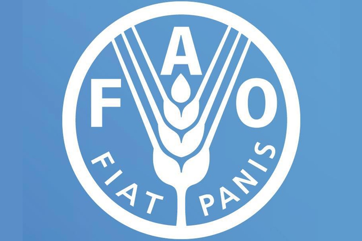 POSTULEZ A CES NOUVEAUX POSTES A LA FAO ( 25 février 2026)