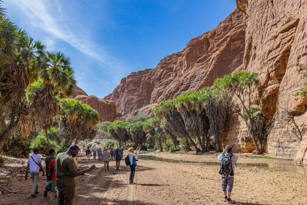 Tchad : un touriste français porté disparu, les autorités intensifient les recherches