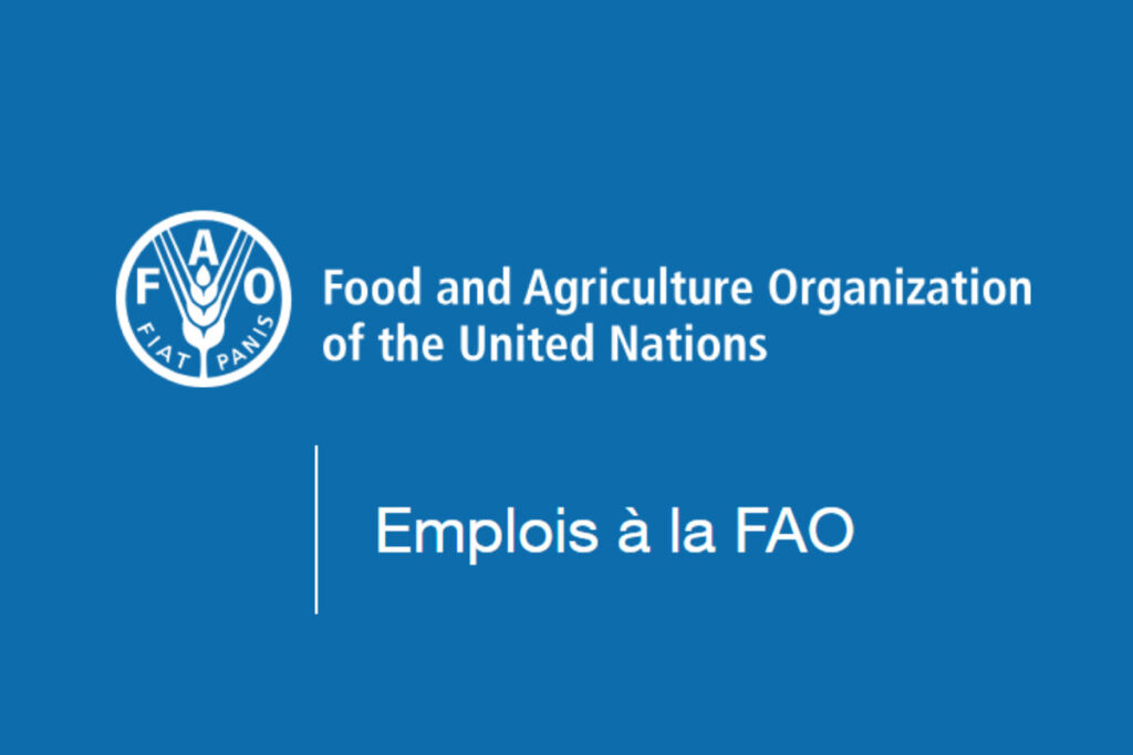 Vacance de poste en télétravail à la FAO (11 février 2026)