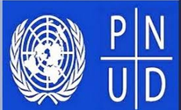 AVIS DE RECRUTEMENT AU PNUD (25 Mars 2026)