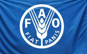 FAO : salaire intéressant, postulez pour décrocher un emploi (31 mars 2026)
