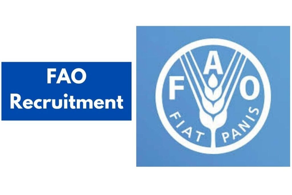 NOUVELLE OFFRE D'EMPLOI A LA FAO (19 mars 2026)