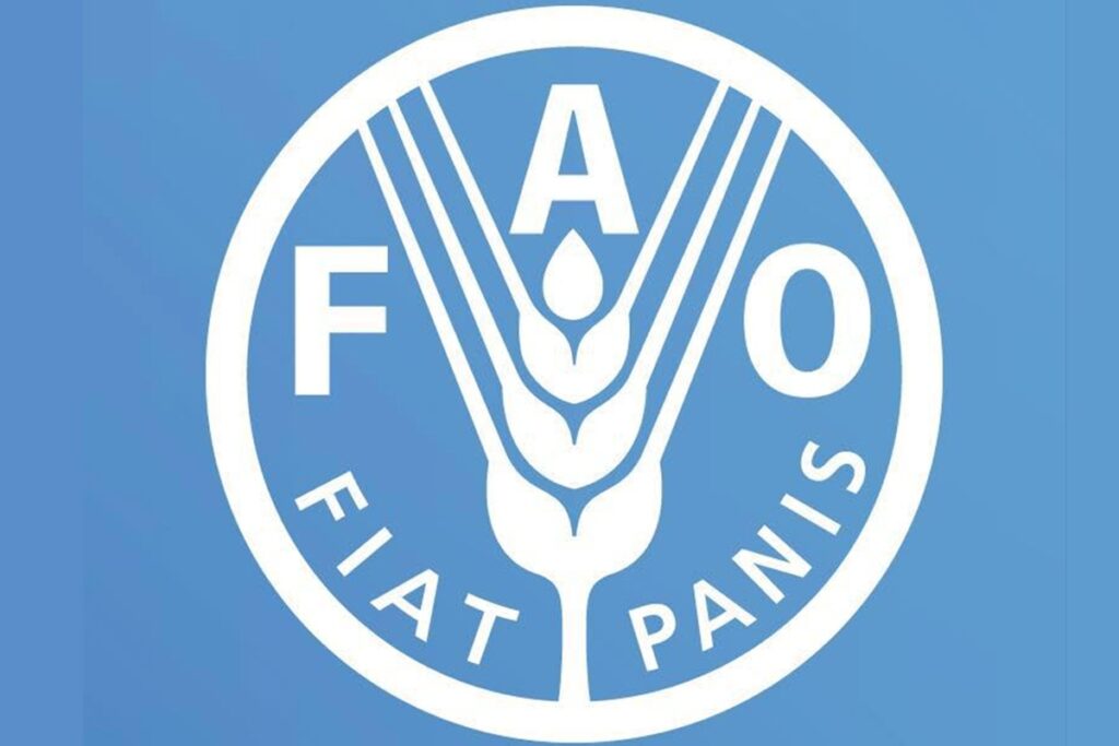 Nouveau poste à pourvoir à l'Organisation des Nations Unies pour l'Alimentation et l'Agriculture- (FAO)-(20 mars 2026)