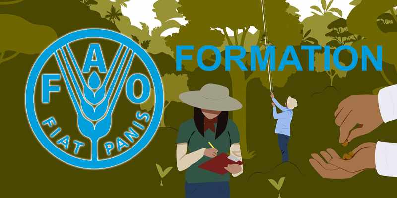 PATRICIPEZ facilement à cette formation certifiée de la FAO