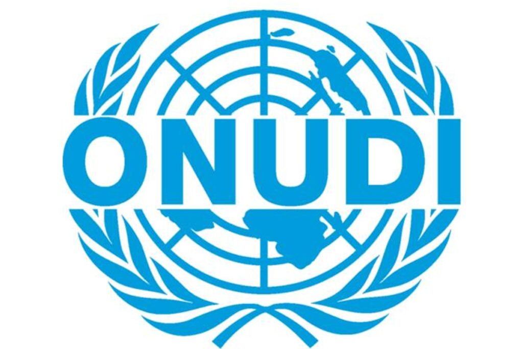 RECRUTEMENT D'UN STAGIAIRE A L'ONUDI (18 mars 2026)