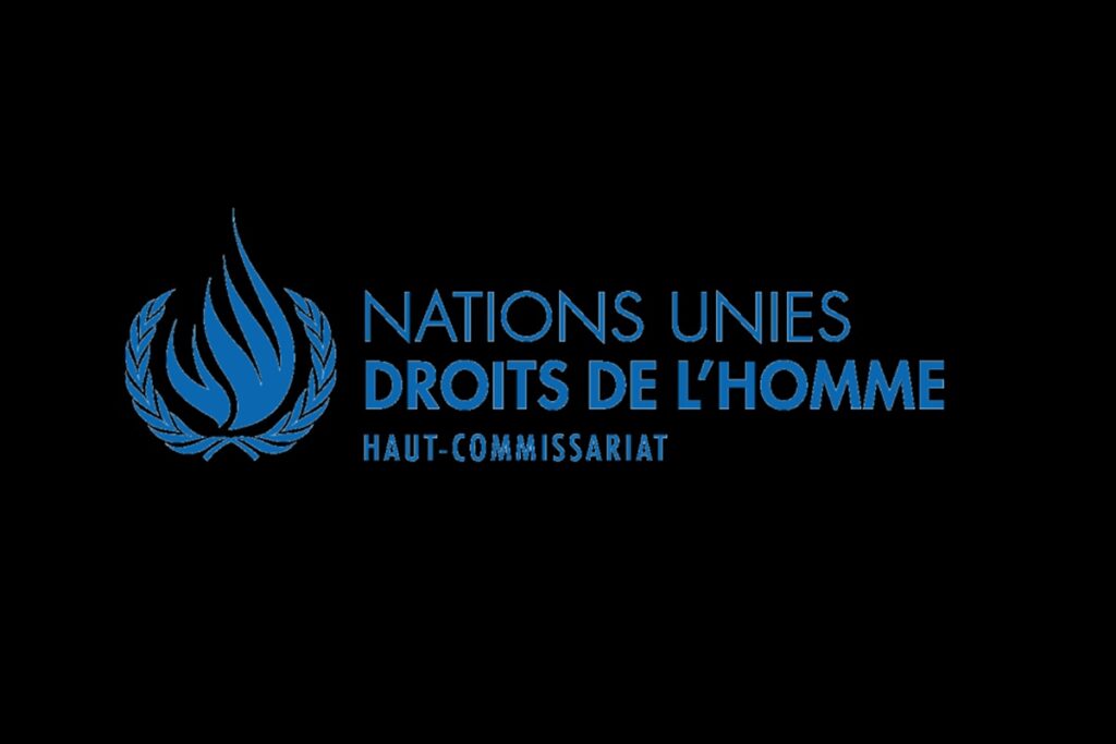 Recrutement d'un stagiaire au Haut-Commissariat des Nations Unies aux droits de l’homme (HCDH)- (19 mars 2026)
