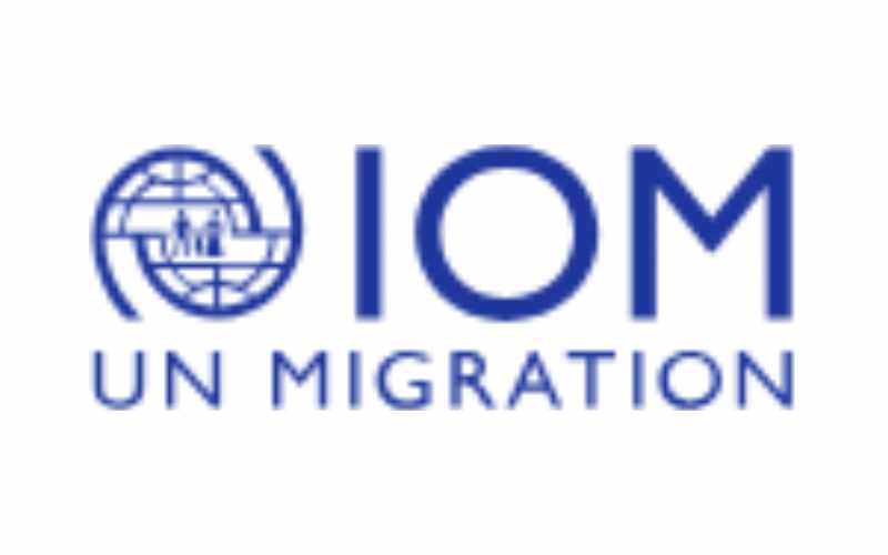 Recrutement en cours à l'OIM (25 mars 2026)