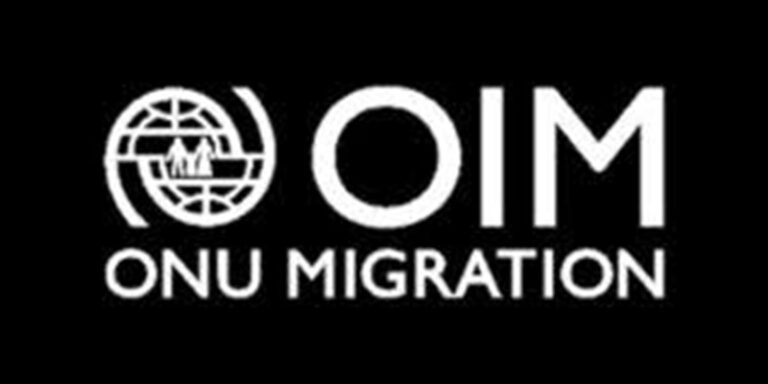 AVIS DE RECRUTEMENT au Bureau de l’OIM (28 Avril 2026)