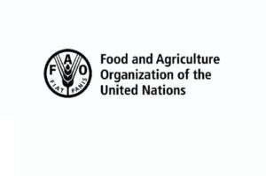 Formation en ligne gratuite de la FAO avec certificat pour booster votre carrière (22 Avril 2026)