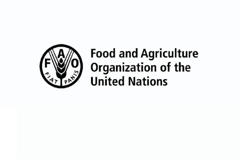 Formation en ligne gratuite de la FAO avec certificat pour booster votre carrière (22 Avril 2026)