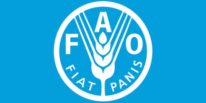 Le FAO offre une Formation certifiante et gratuite en ligne qui va booster votre CV (Avril 2026)