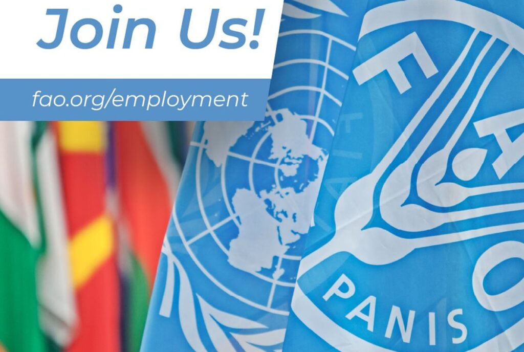 OFFRE D’EMPLOI A FAO POSTULEZ MAINTENANT (23 avril 2026)