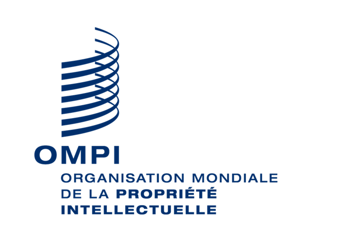 L'OMPI recrute à l'international 16 août 2026