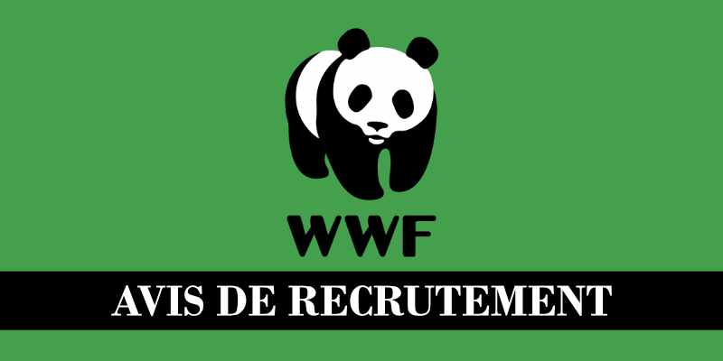 Recrutement démarré à l'ONG internationale WWF (27 avril 2026)