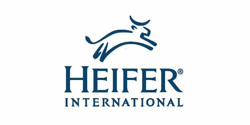 Recrutement lancé à l'ONG Heifer International pour un poste au siege (23 avril 2026)