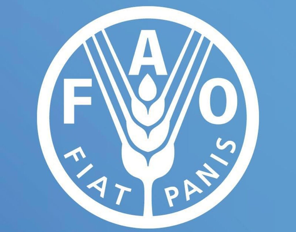 Recrutement lancé à la FAO, l'Organisation des Nations Unies pour l'Alimentation et l'Agriculture (20 avril 2026)