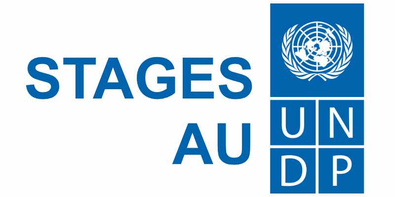 Recrutement ouvert pour des stages pour aller travailler au PNUD en télétravail (7 avril 2026)