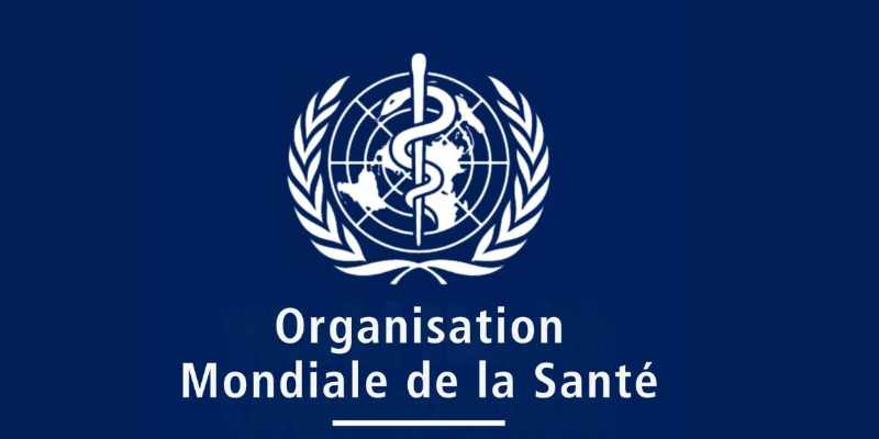 Travailler pour l'OMS une nouvelle Formation en ligne accessible tout de suite (9 avril 2026)