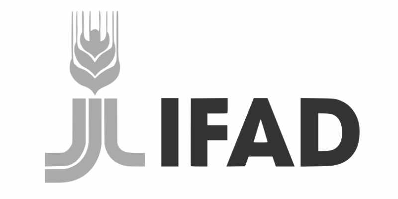 Appel à candidatures ouvert au FIDA (8 mai 2026)