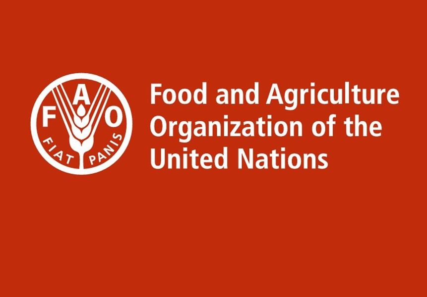 CANDIDATURE POUR UN NOUVEAU POSTE A L’Organisation des Nations Unies pour l’alimentation et l’agriculture (FAO) (15 Mai 2026)