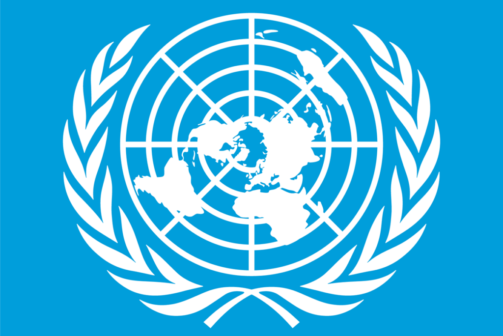 Formation en ligne gratuite et certifiante des Nations Unies pour décrocher un poste dans les ONG