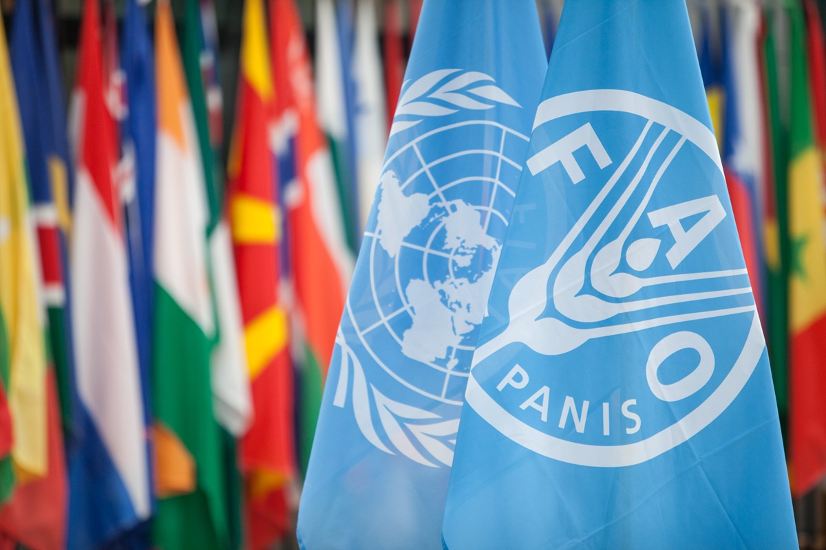 Alimentation : formation en ligne de la FAO pour les décideurs Marchés : formation en ligne gratuite et certifiante de la FAO