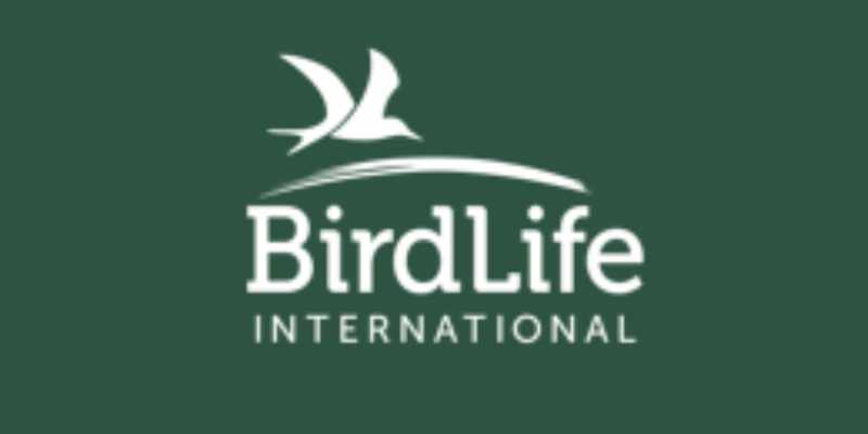 L'ONG internationale BirdFife recrute un responsable (12 mai 2026)