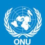 Appel à candidatures pour une formation entièrement financée par l'Université des Nations Unies (UNU) 100% télétravail (05 mai 2026)