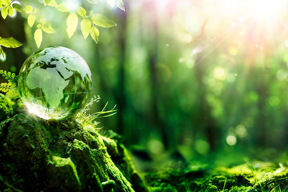 Candidatez pour ce nouveau poste au Fonds mondial pour la nature (WWF) - 18 août 2026