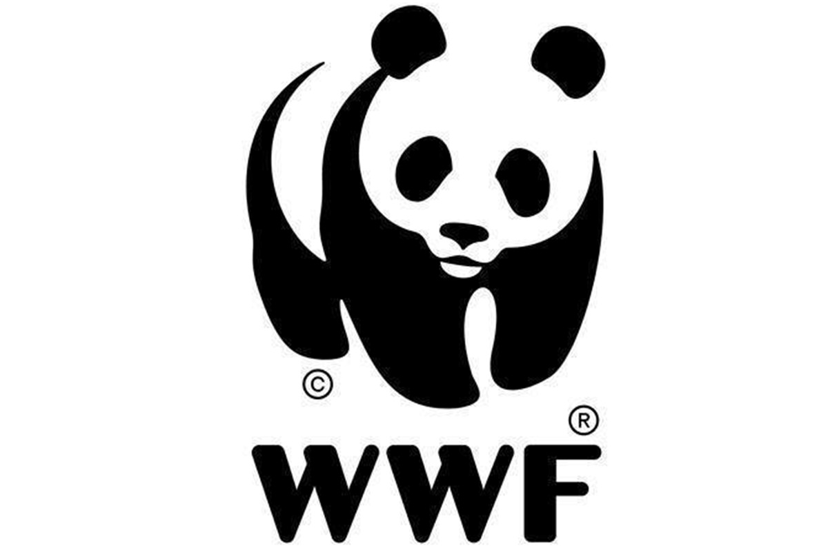 RECRUTEMENT A LA WWF, le Fonds Mondial pour la Nature (06 mai 2026)