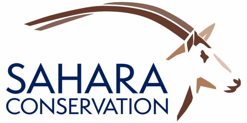 Recrutement débuté à l'ONG internationale Sahara Conservation pour un poste de chargé (13 mai 2026)