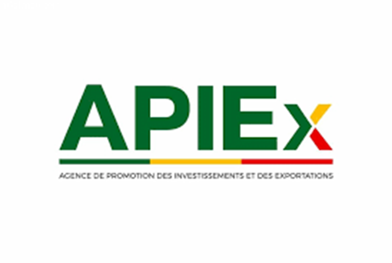 Avis de recrutement de l’APIEX - Bénin (14 Juin 2026)