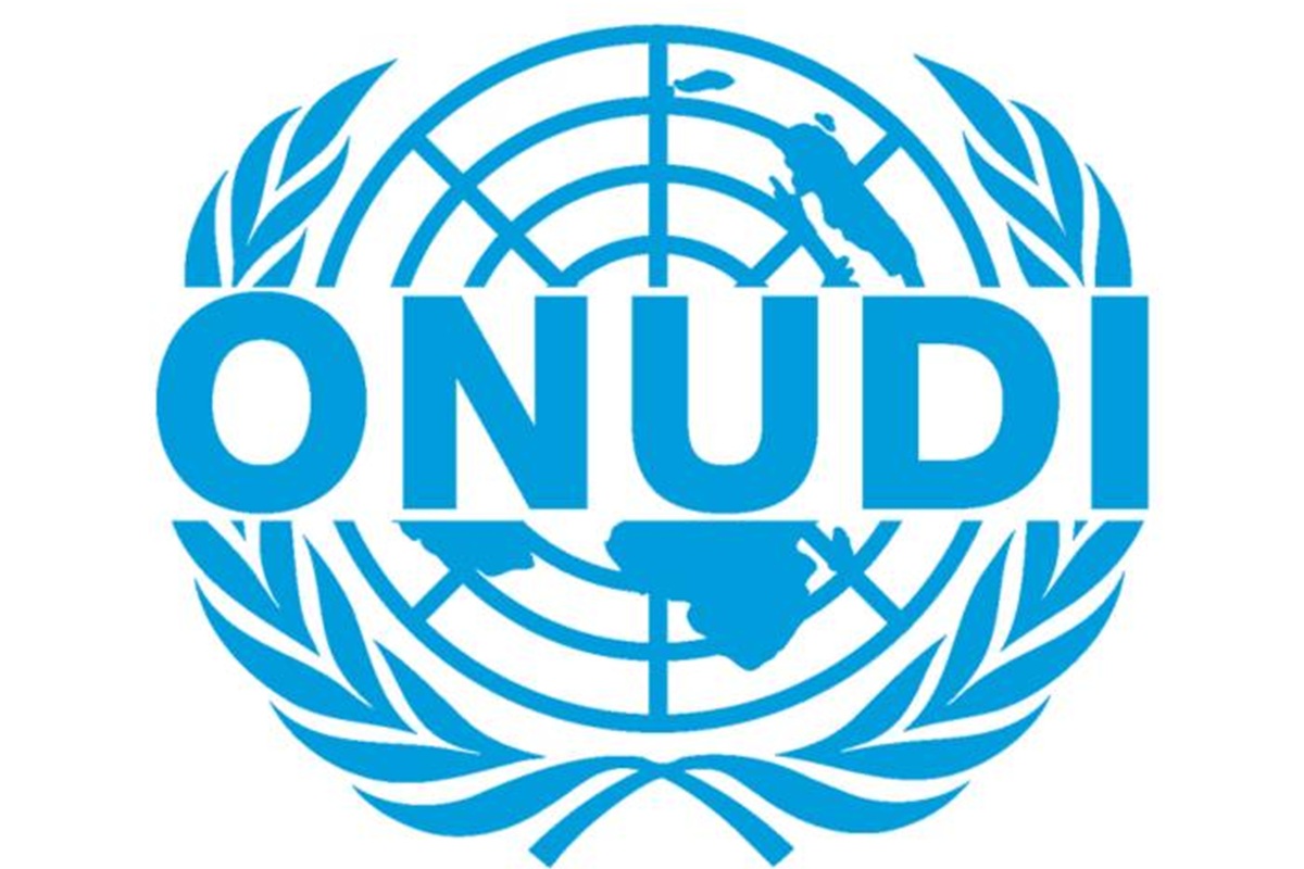 Commerce et Investissement : formation en ligne de l'ONUDI