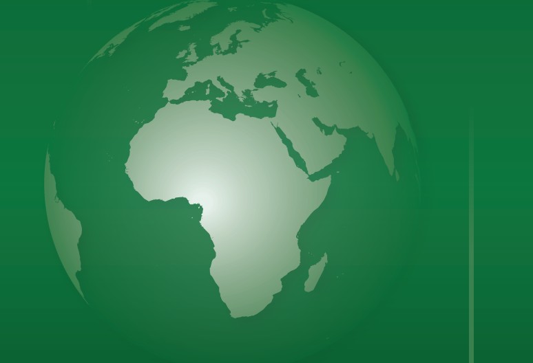 Crise alimentaire la FAO et le PAM alertent sur une aggravation de l'insécurité alimentaire dans ces pays africains