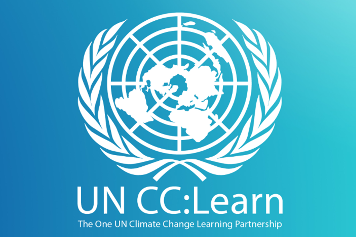 Finance formation en ligne gratuite et certifiante des Nations Unies