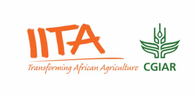 Humanitaire un emploi d'assistant libre à IITA ; diplôme demandé licence (10 juin 2026)