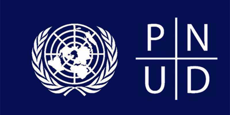 Le PNUD recrute de nouveaux profils ; c'est votre chance (23 juin 2026)