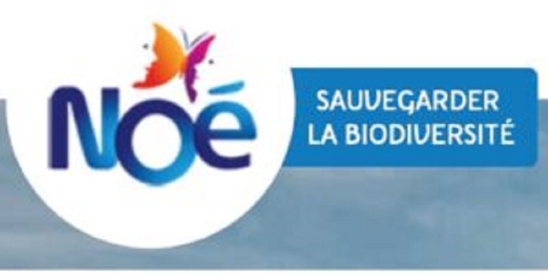 Rejoignez l’ONG internationale NOE en tant que Consultant(e) (12 Juin 2026)