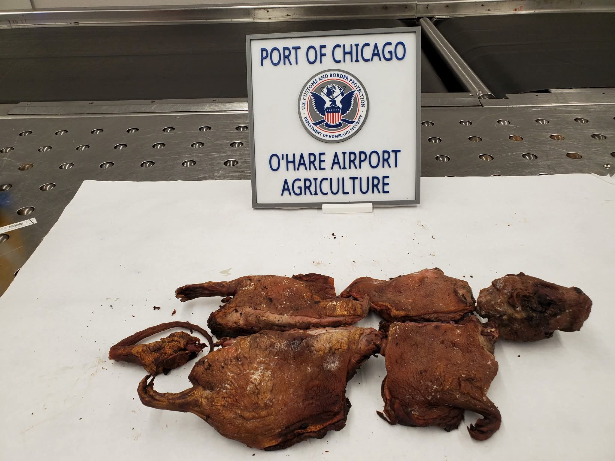 viande de brousse interdite aux Etats-Unis pour un voyageur en provenance du Bénin