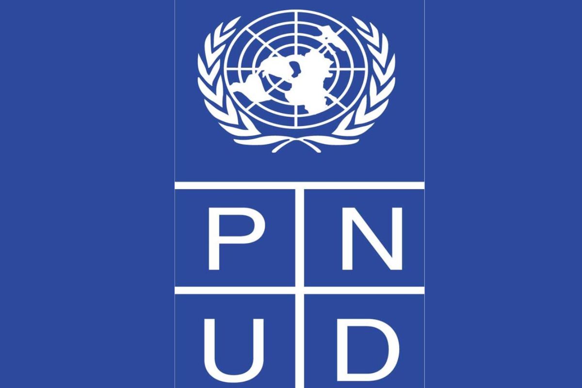 Annonce de recrutement au PNUD - 19 août 2026