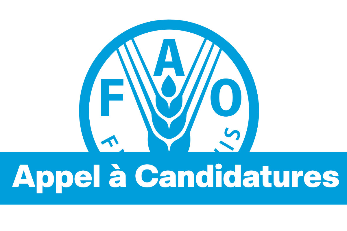Appel à candidature au concours de la FAO Innovate Africa Challenge