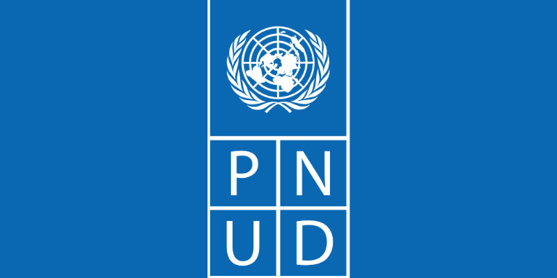 Certificat avancé en marchés publics formation en ligne du PNUD